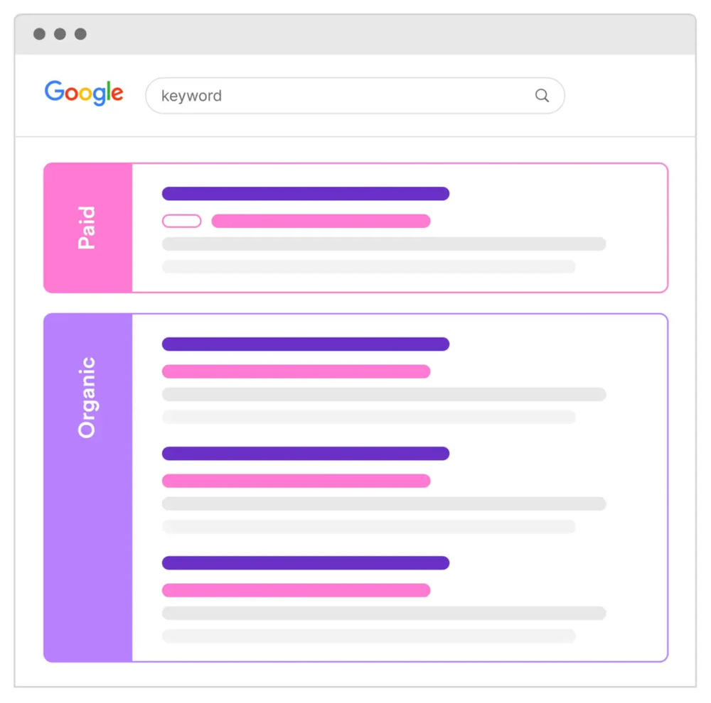 Google Search Demonstrating Paid & Organic Section in Google Search - Mass Reach
